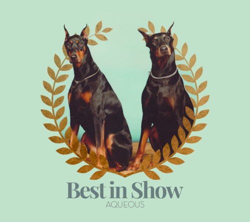 Best in Show