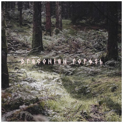Draconian Forest