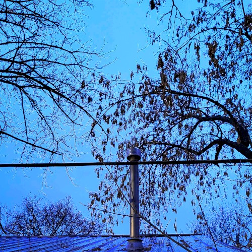 IV