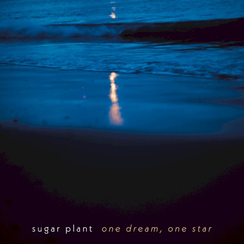 one dream, one star