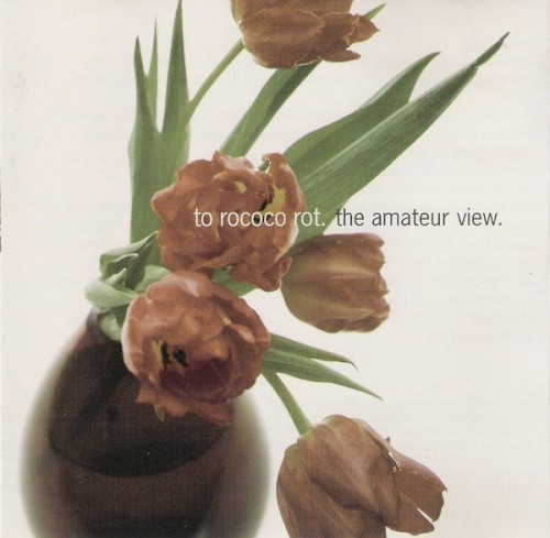 To Rococo Rot &ndash; The Amateur View