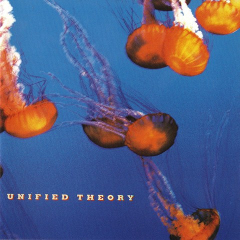Unified Theory