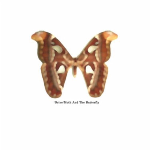 Moth and the Butterfly