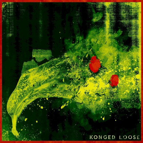 Konged Loose
