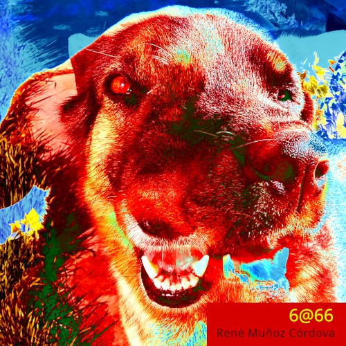 6@66