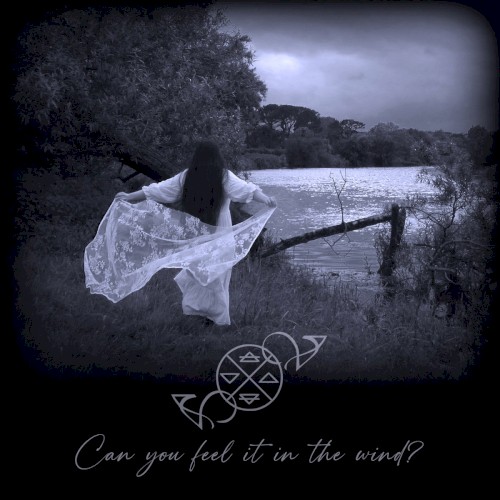 Can You Feel It In The Wind?