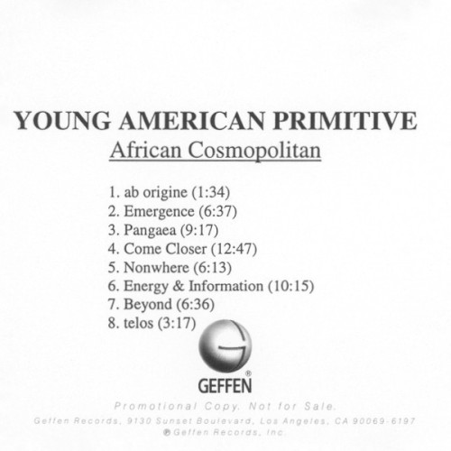 African Cosmopolitan