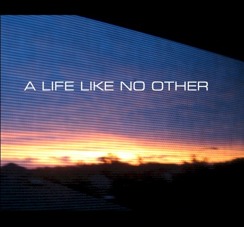 A Life Like No Other