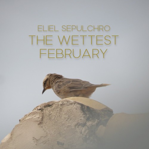 The Wettest February