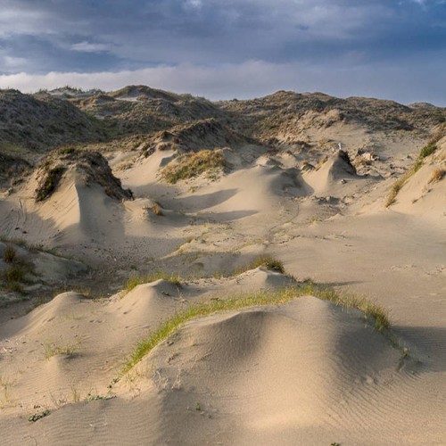 Dune Worship