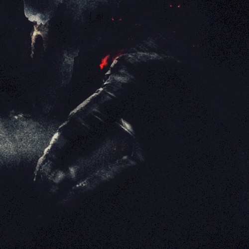 Risen To Fight