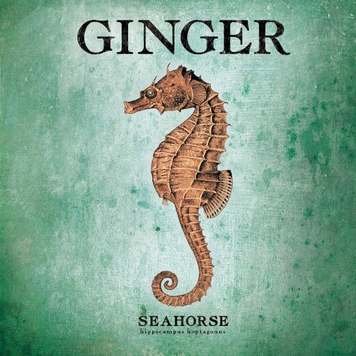 Seahorse