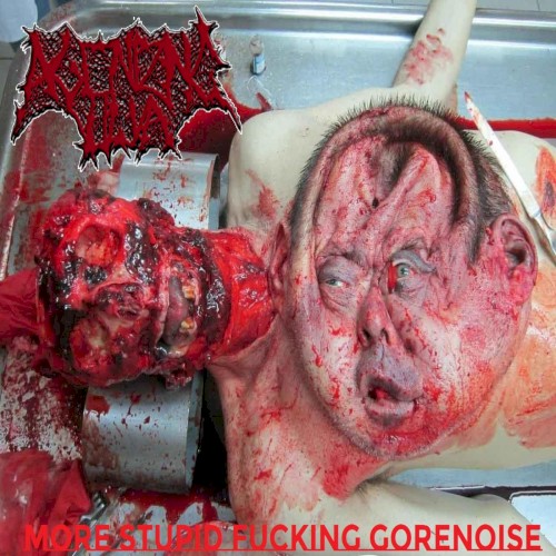 MORE STUPID FUCKING GORENOISE