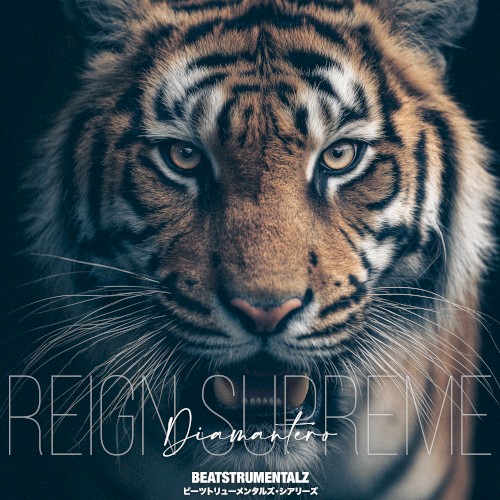 Reign Supreme (Beatstrumentalz)