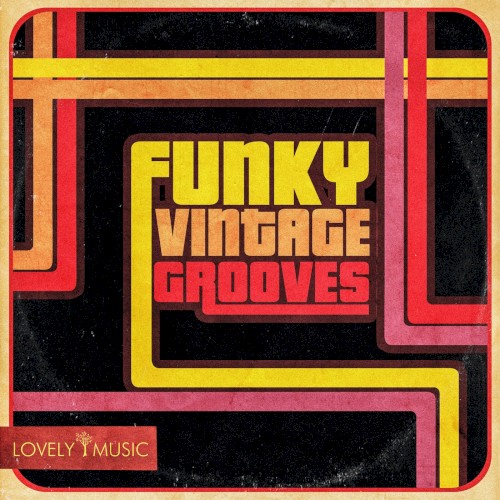 Funky Vintage Grooves