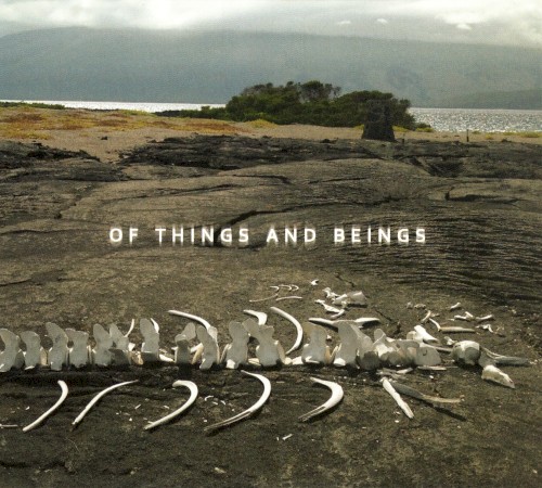 Of Things and Beings