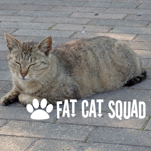 FAT CAT SQUAD