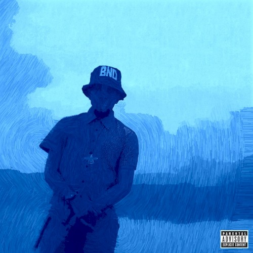 Blue Vinyl