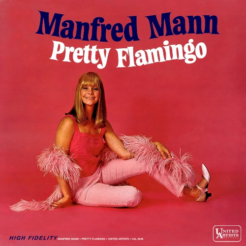 Pretty Flamingo