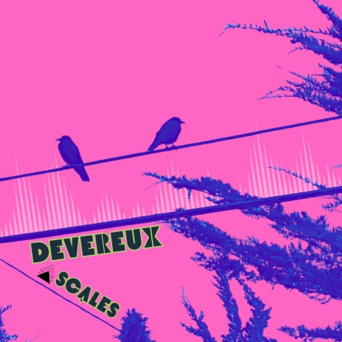 Devereux Scales