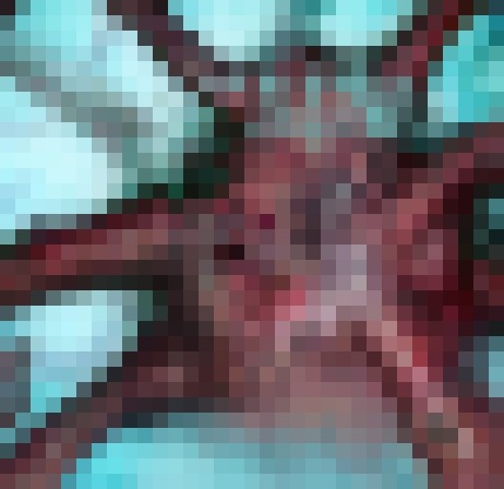 Vampire Squid Goes 8-Bit