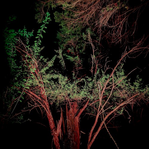 ambient feelings