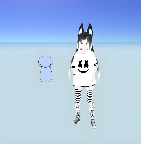 ft.