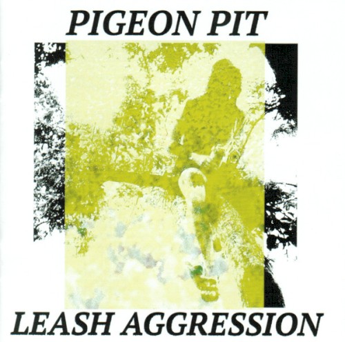 Leash Aggression
