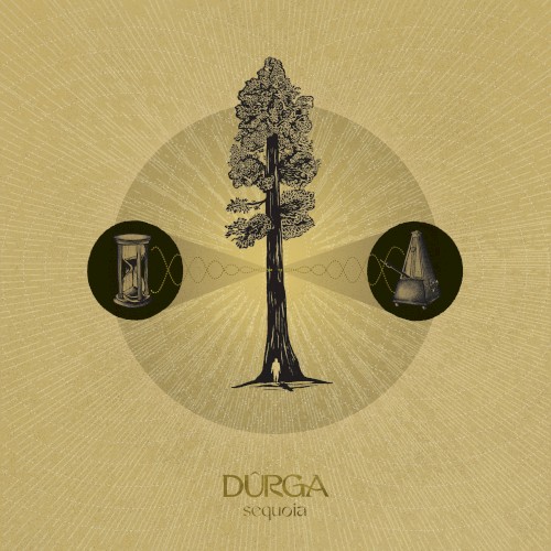 Sequoia