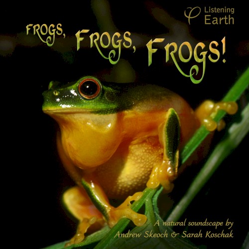 Frogs, Frogs, Frogs!