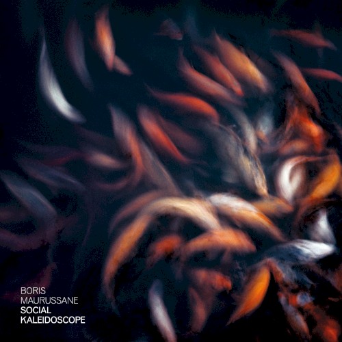Social Kaleidoscope