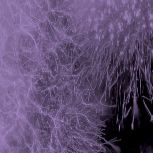 Expyration