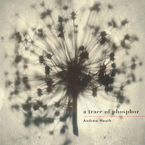 A Trace of Phosphor