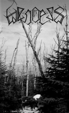 Wendess