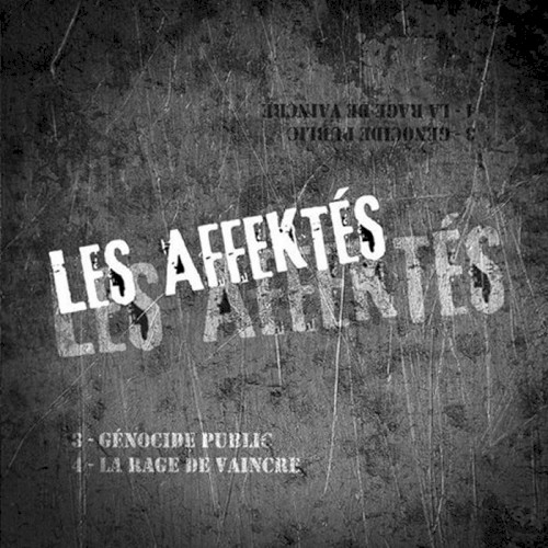 Les Affektés / Punk Haine Roll Split 2014