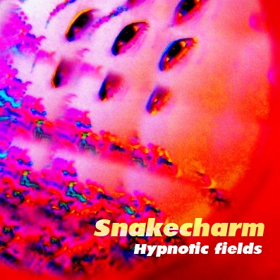 Hypnotic Fields