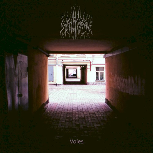 Voies