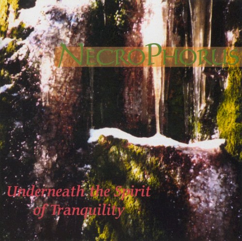 Underneath the Spirit of Tranquility