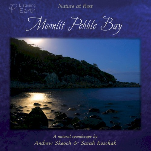 Moonlit Pebble Bay