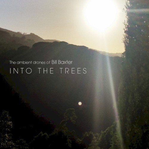 Into the Trees