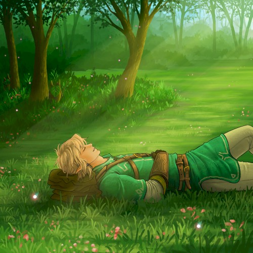 Zelda & Sleep: Ensemble Collection