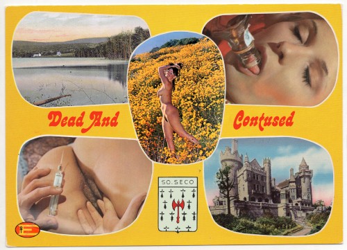 Dead and Contused