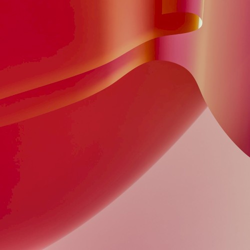 Orgazm Donor