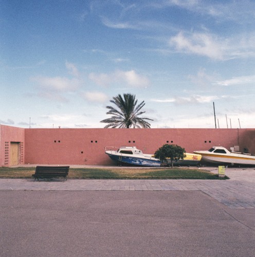 Under Palm Trees