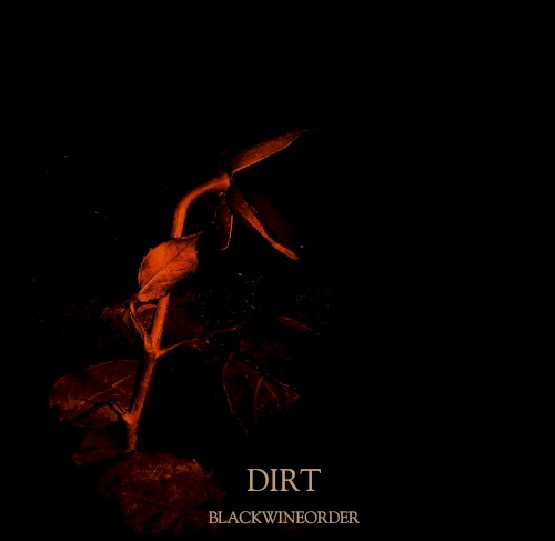 Dirt