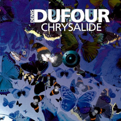 Chrysalide