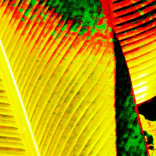 X Stendell’s Destrukt Remixes