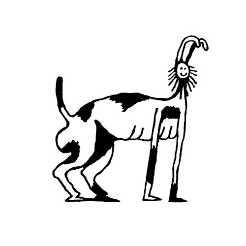 Payblo Picostco
