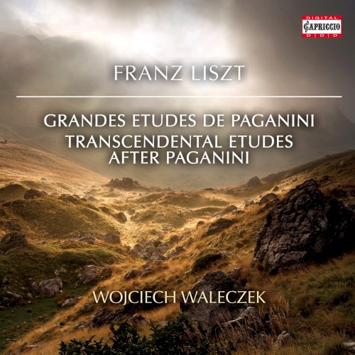 Grandes études de Paganini / Transcendental Etudes / After Paganini