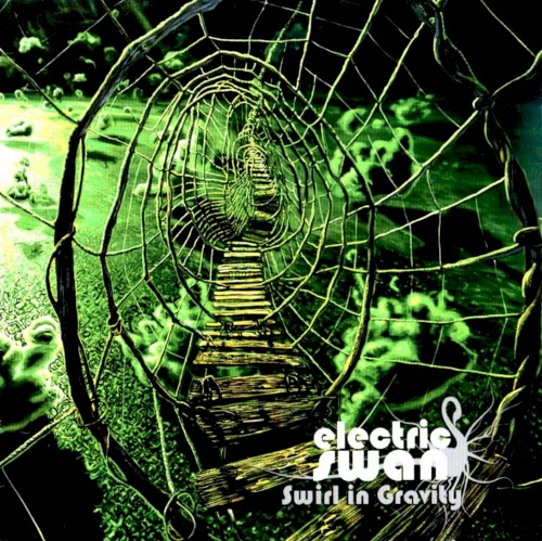 Swirl in Gravity